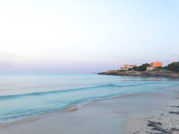 istock Summer vibes in the beach 1006031526