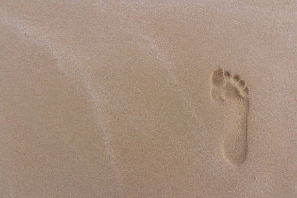 Three Family footprints in the sand on the beach