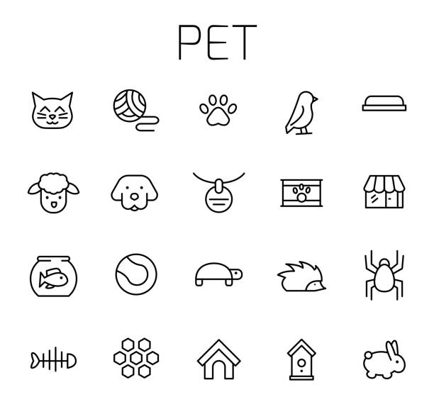 illustrazioni stock, clip art, cartoni animati e icone di tendenza di set di icone vettoriali correlate all'animale domestico - clew bay