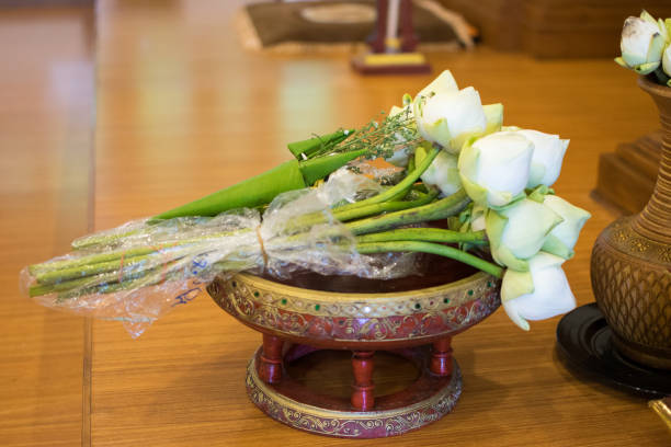 istock White Lotus for Buddha worship 1006067392