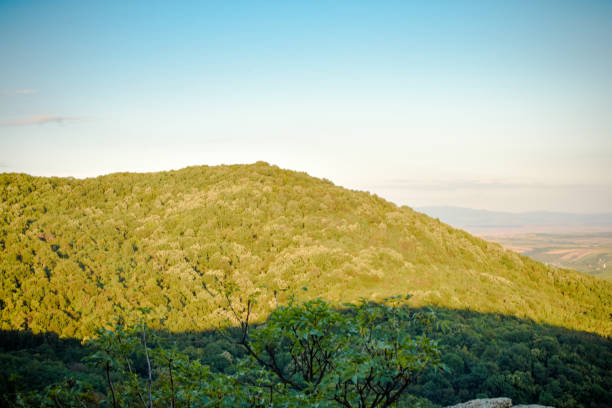istock landscape of fileds and hill 1006067890