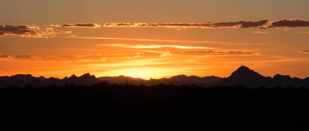 istock Sunset in Saguaro National Park 1006078354
