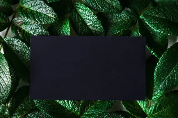 Black paper card mockup against background of green leaves with texture. Creative layout, flat lay.
