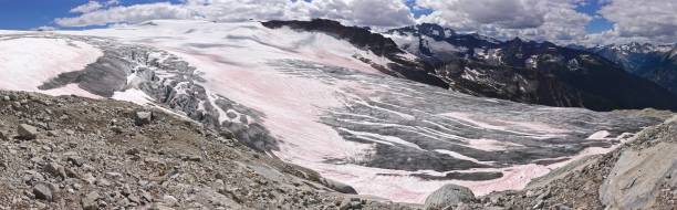 панорама illecillewaet - montana british columbia glacier national park mountain mountain range стоковые фото и изображения