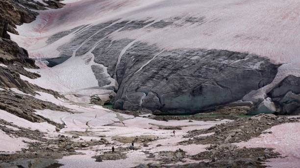 perely rock - montana british columbia glacier national park mountain mountain range stock-fotos und bilder