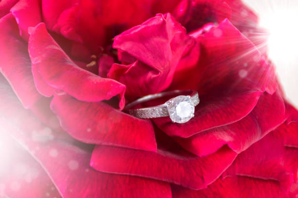 istock Beautiful wedding background with diamond engagement wedding ring in red soft rose flower 1006092478