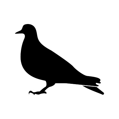 Dove it is black color icon .