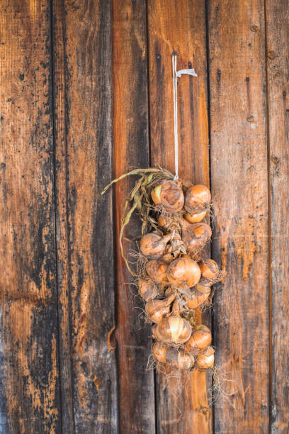 a bunch of onions on the background of an old wooden wall