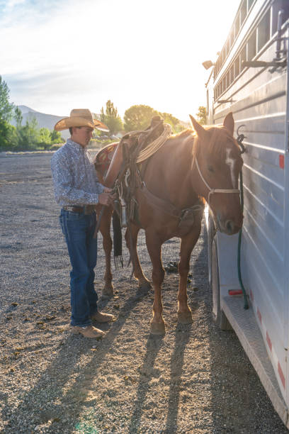 istock Prepping the horse for a rodeo event 1006102750