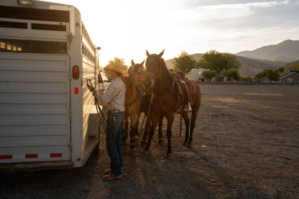 istock Prepping the horse for a rodeo event 1006102862