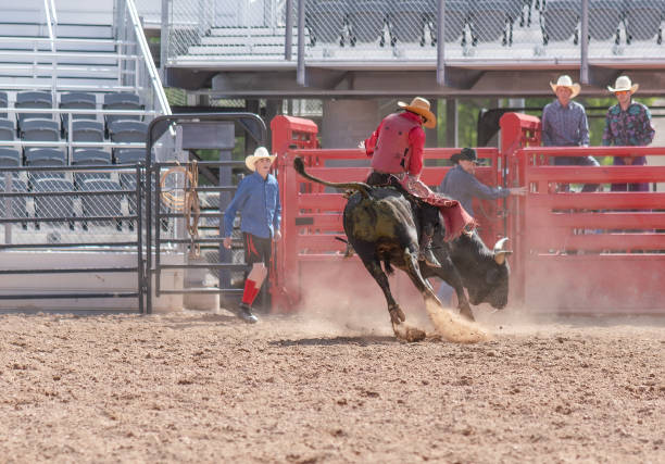 istock Cowboy Bull Riding in Rodeo Arena 1006103078