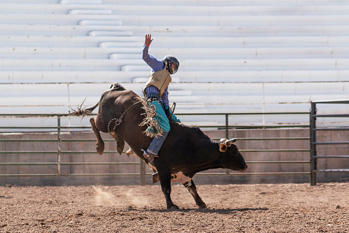 Clearing the bull from the rodeo arena