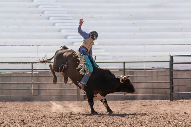 Photo of Clearing the bull from the rodeo arena