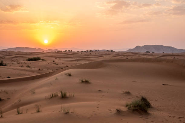 istock Sunrise in the desert 1006105614