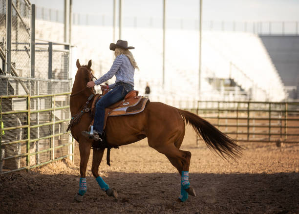 istock Cowgirl on horse practicing outside a rodeo arena 1006105730
