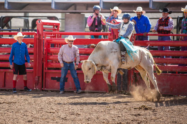 istock Cowboy Bull Riding in Rodeo Arena 1006106636