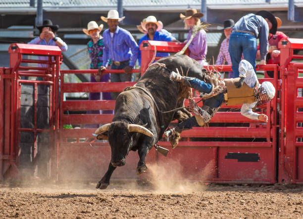 istock Cowboy Bull Riding in Rodeo Arena 1006106664