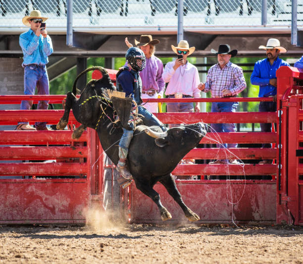 istock Cowboy Bull Riding in Rodeo Arena 1006106698