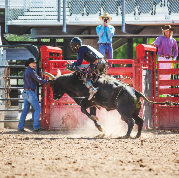 istock Cowboy Bull Riding in Rodeo Arena 1006106740