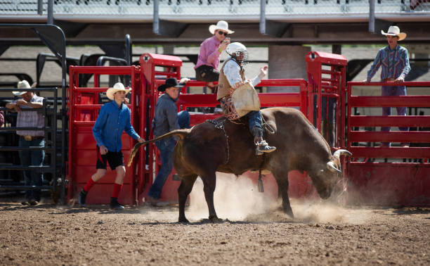 istock Cowboy Bull Riding in Rodeo Arena 1006106744