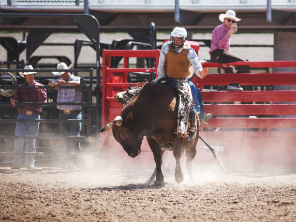 istock Cowboy Bull Riding in Rodeo Arena 1006106922