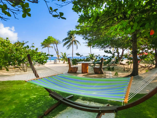 The sitting area with hammock at sunny day on beach in Haiti The resting area at the beach with hammock at sunny day at Haiti labadee stock pictures, royalty-free photos & images