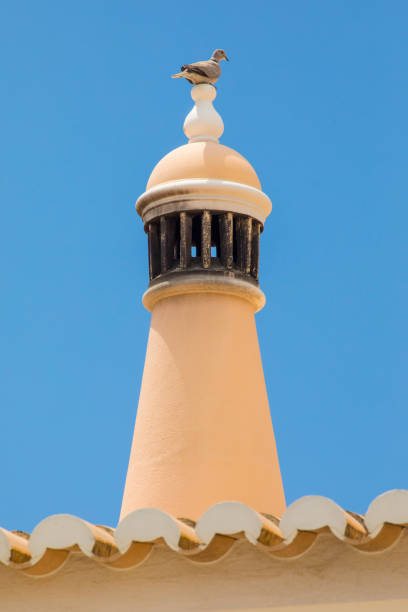 istock Pigeon Perched on a Traditional Chimney in Portugal 1006124846