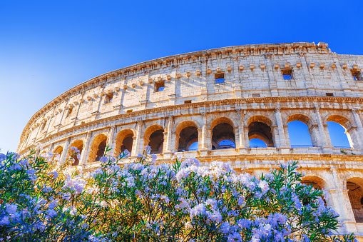 A full wide angle view of the rear of the Roman Colosseum on a bright sunny day.
