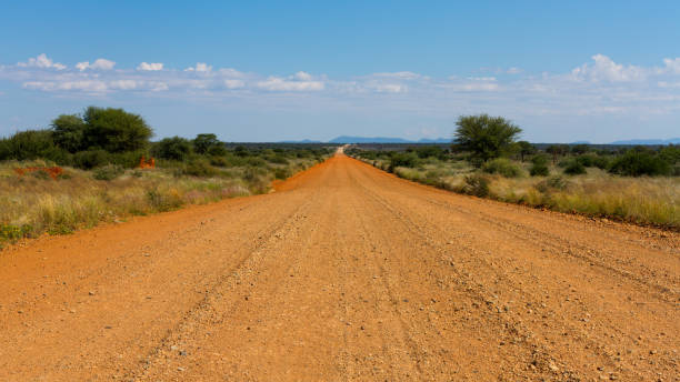 나미비아 자갈도로 - savannah africa steppe namibia 뉴스 사진 이미지