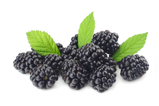 istock blackberries with green leaf isolated on white background. macro 1006151384