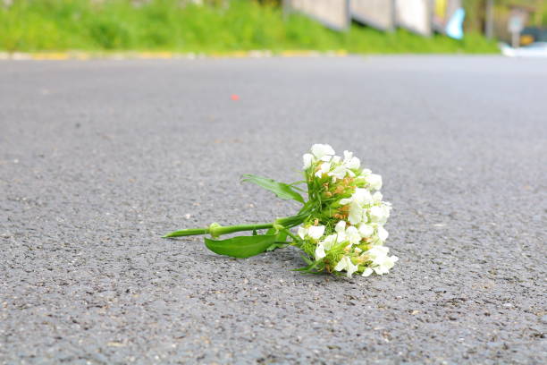 istock A bundle of flower on the road 1006151540