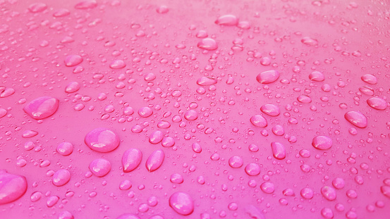 Water Drops background on the pink glossy surface, Rain droplets on pink texture for cosmetics, drink product.