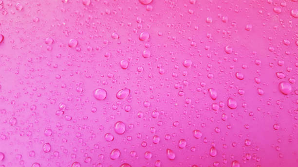 istock Water Drops background on the pink glossy surface, Rain droplets on pink texture for cosmetics, drink product. 1006164650