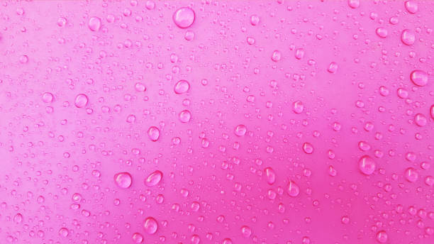 istock Water Drops background on the pink glossy surface, Rain droplets on pink texture for cosmetics, drink product. 1006164666