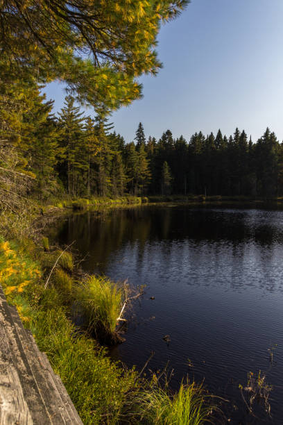 istock La Mauricie National Park in Canada 1006189204