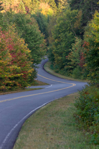 istock La Mauricie National Park in Canada 1006197034