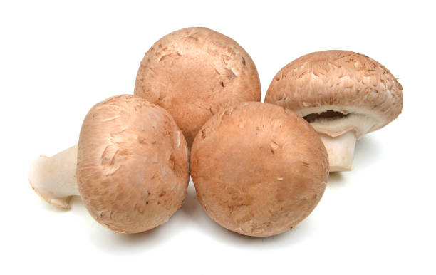 istock Brown champignon mushroom isolated on white background cutout 1006197054
