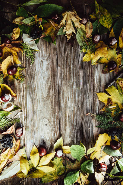 istock Autumn wooden background with maple leaves with copy space 1006201254