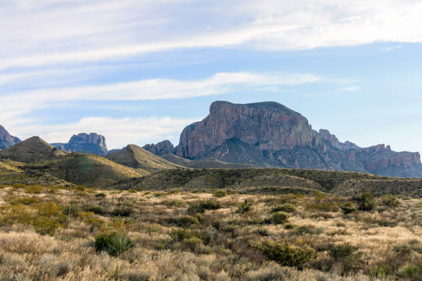 istock Beautiful southwestern Texas desert scene 1006204972