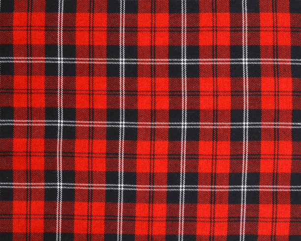 istock Tablecloth checkered red, black and white texture background, high detailed 1006208260