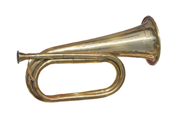 istock Old trumpet on flea market 1006215618