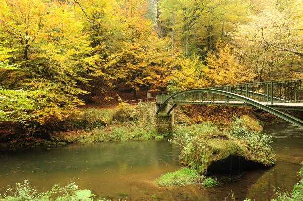 istock Autumn colored trees, leaves, rocks around the beautiful river 1006219114