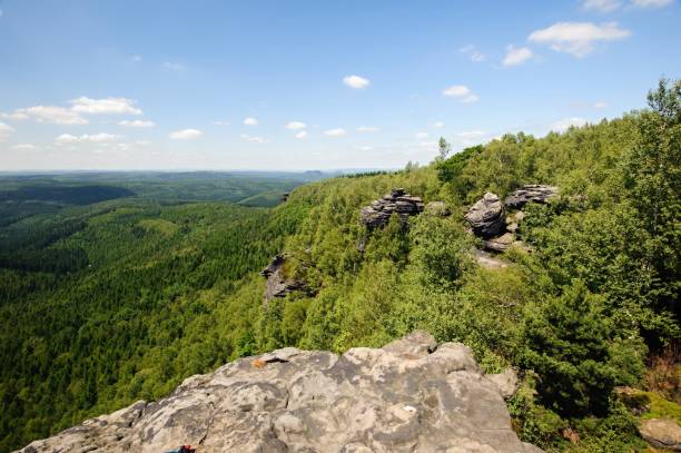 istock Summer landscape with forests, meadows rocks and sky 1006219150