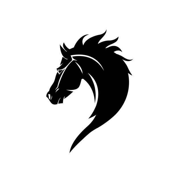 illustrations, cliparts, dessins animés et icônes de tête noire cheval icône vecteur dans un style moderne plat pour le web - cheval