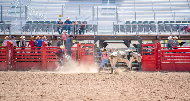 istock Clown working a bull at the rodeo 1006228900