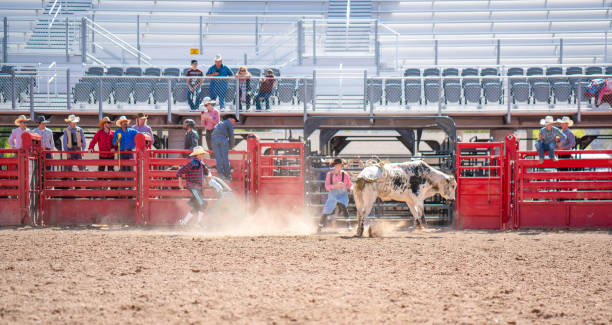 Clown working a bull at the rodeo Clown working a bull at the rodeo bull riding bull bullfighter cowboy hat stock pictures, royalty-free photos & images