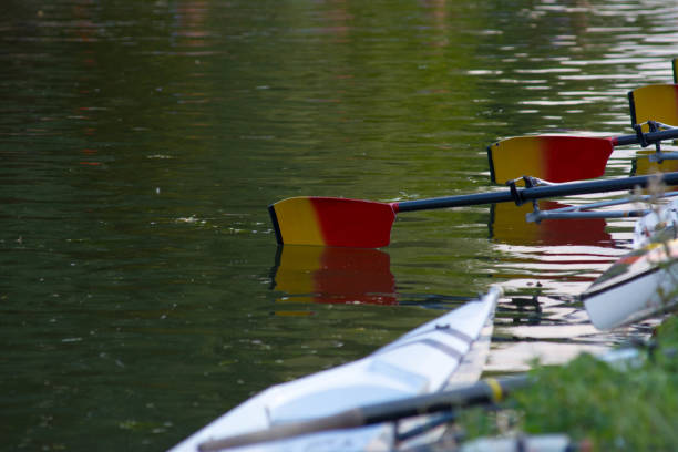 rowing oar's on top of river - rowboat sport rowing team sports race imagens e fotografias de stock