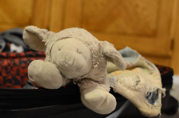 A lamb blanket is sitting in a suitcase ready to go.