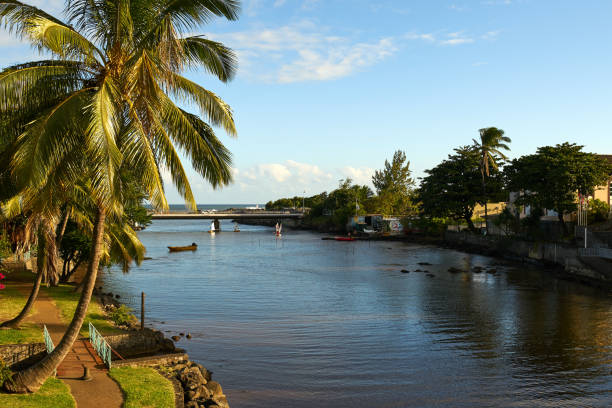 istock View on River First, St. Peter, Reunion Island 1006243750