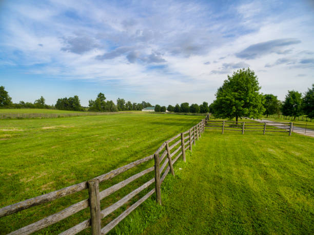 istock Horse farm ranch  landscape 1006252362
